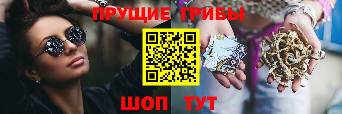Псилоцибиновые грибы прущие грибы Сокол