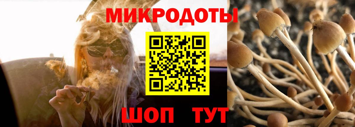 Псилоцибиновые грибы Cubensis  Вход с VPN  Сокол 